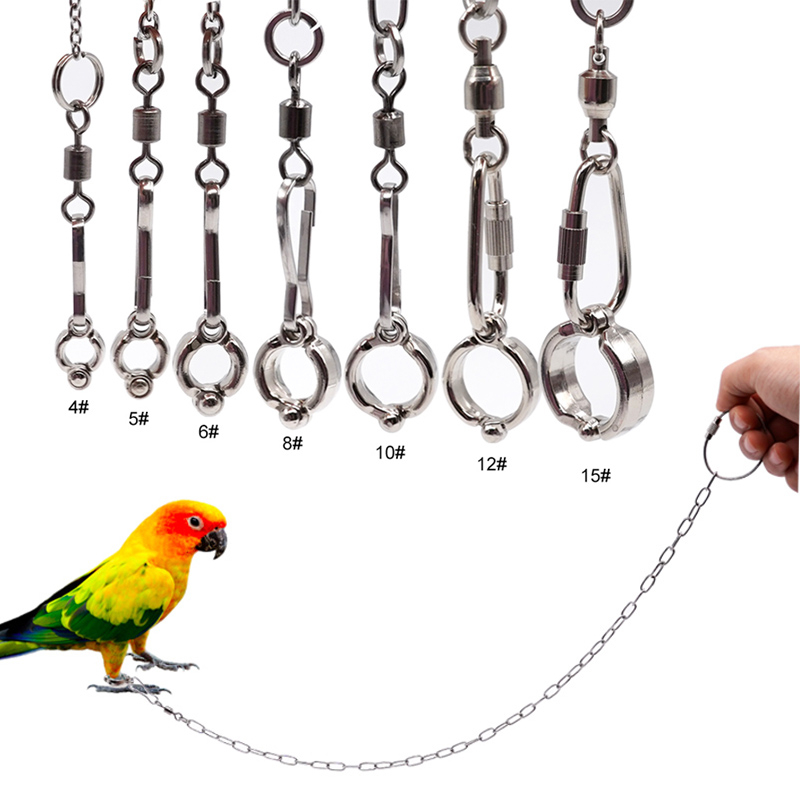 Anklet Foot Chain - Paslanmaz Çelik Papağan Bacak Halkası Zincirli