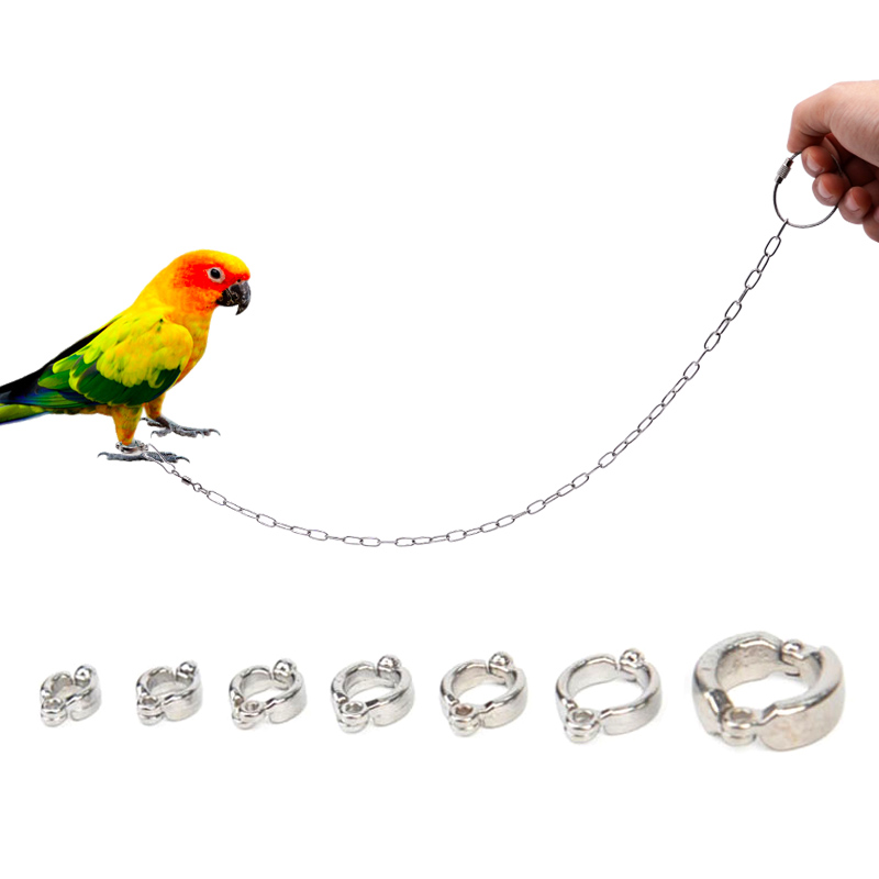 Paslanmaz Çelik Papağan Bacak  - Anklet Foot Chain incelemesi ve fiyatı