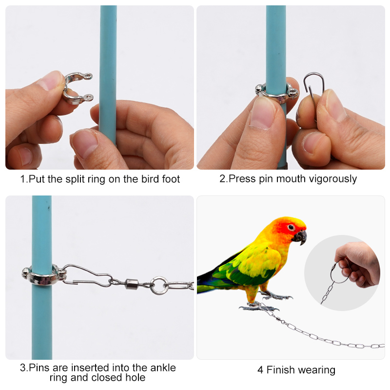 Paslanmaz Çelik Papağan Bacak  - Anklet Foot Chain incelemesi ve fiyatı
